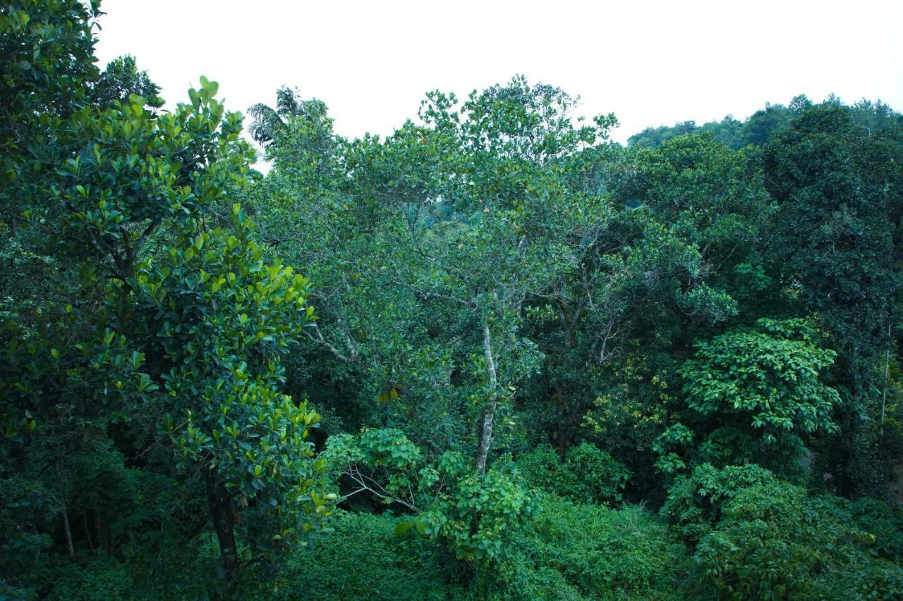Lamond Holidays Munnar Εξωτερικό φωτογραφία